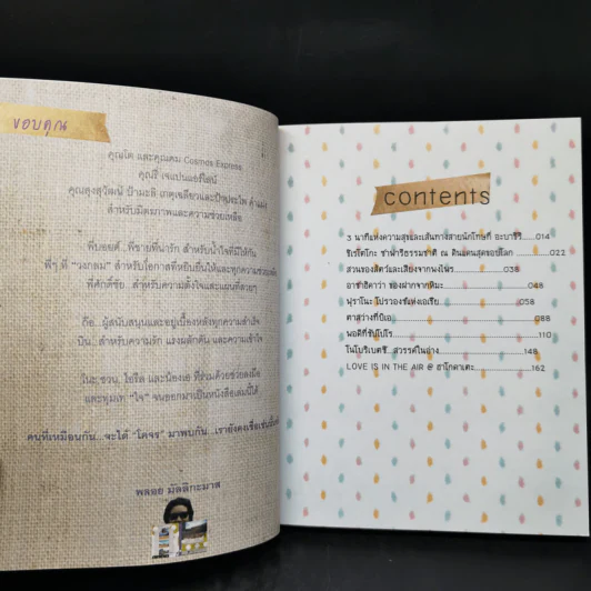 ฮอกไกโดในวันที่หิมะละลาย - พลอย มัลลิกะมาส รูปที่ 10