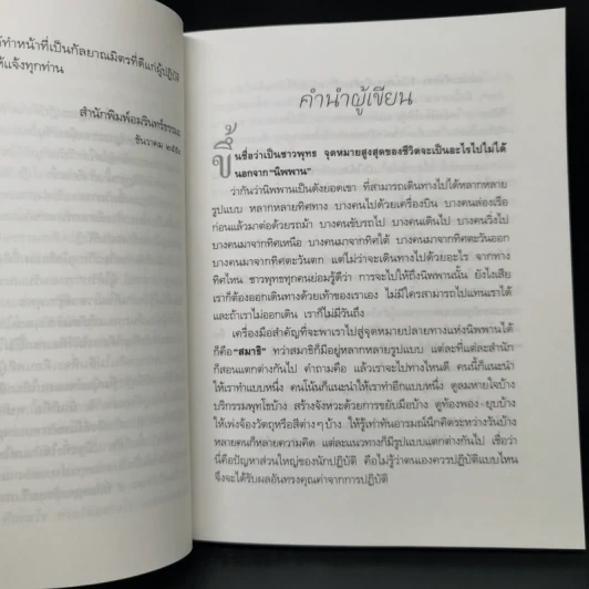 สมถะเท้าขวา วิปัสสนาเท้าซ้าย - พศิน อินทรวงศ์ รูปที่ 10