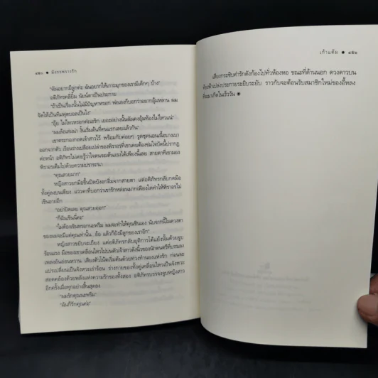 มังกรพรางรัก - เก้าแต้ม รูปที่ 11