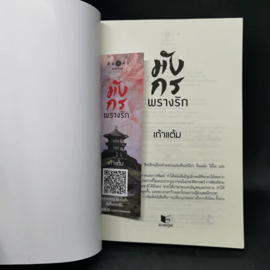 มังกรพรางรัก - เก้าแต้ม รูปที่ 8