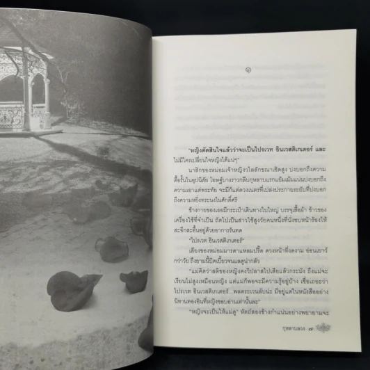 กุหลาบลวง - พงศกร รูปที่ 9