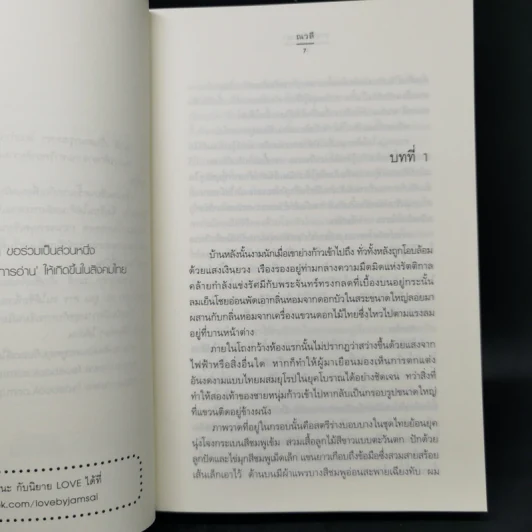 สาปปฏิญญา - ณวลี รูปที่ 9