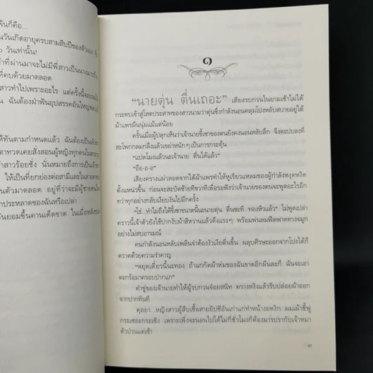 เจ้าสาวร้อยชั่ง - ดวงมาลย์ รูปที่ 9