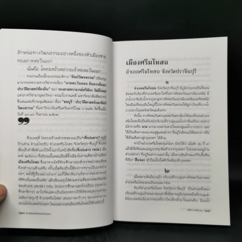 อารยธรรมฝั่งทะเลตะวันออก - ศรีศักร วัลลิโภดม รูปที่ 10