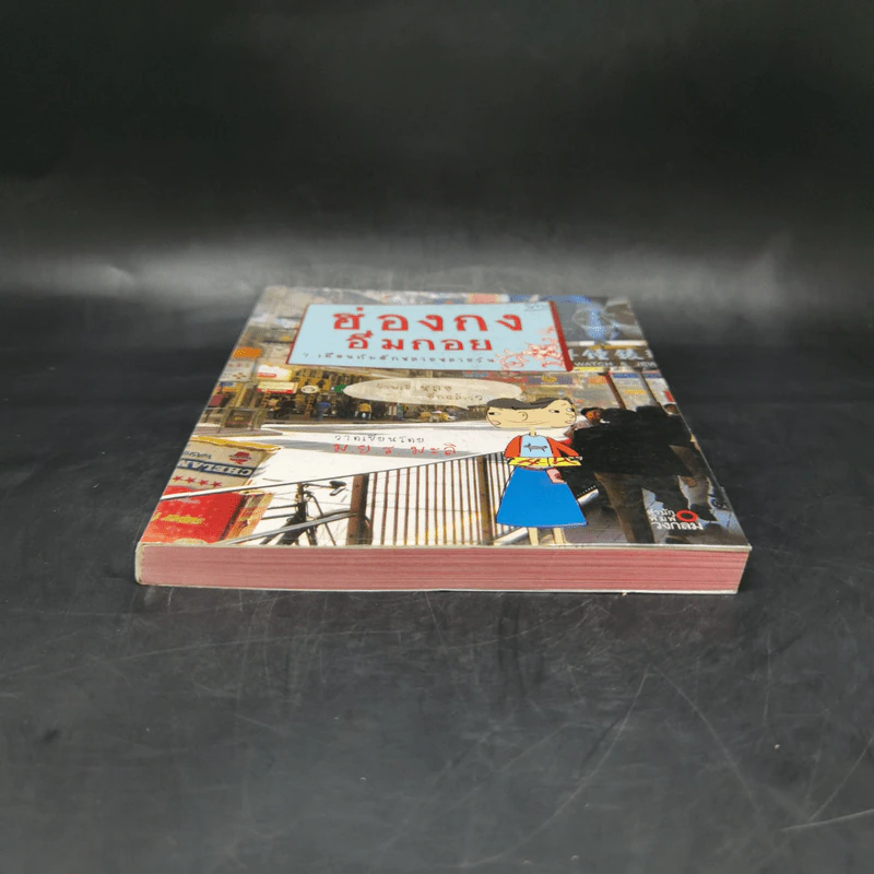ฮ่องกงอึ่มกอย 7 เดือนกับอีกหลายหลายวัน - ม.ย.ร.มะลิ รูปที่ 4