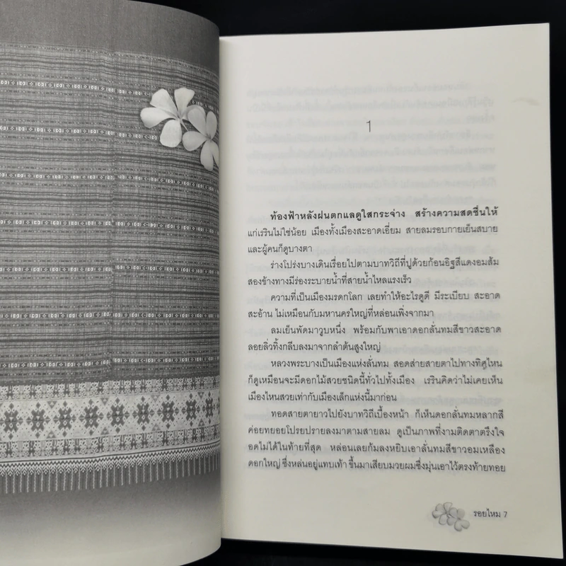 รอยไหม - พงศกร รูปที่ 9