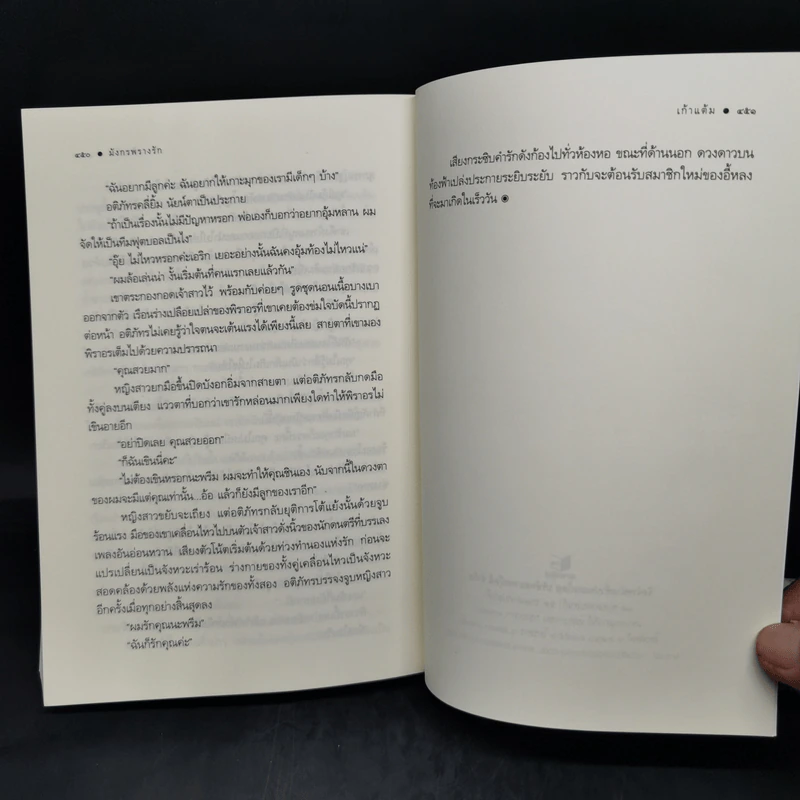 มังกรพรางรัก - เก้าแต้ม รูปที่ 11