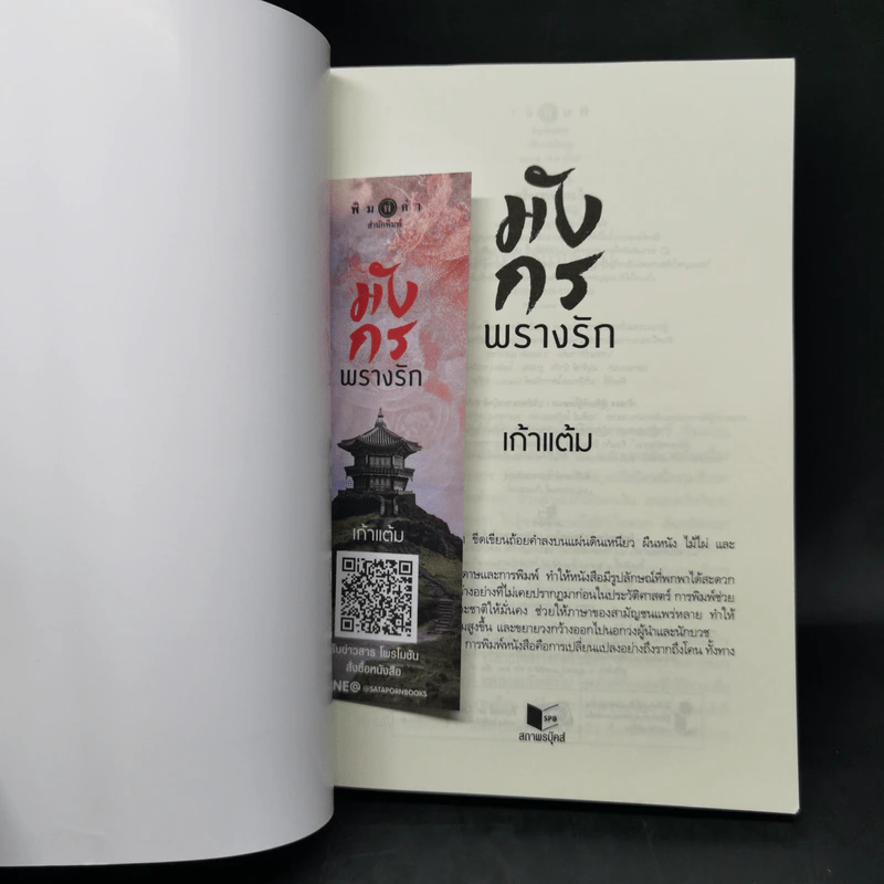 มังกรพรางรัก - เก้าแต้ม รูปที่ 8