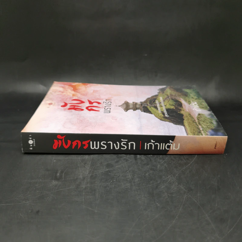 มังกรพรางรัก - เก้าแต้ม รูปที่ 3