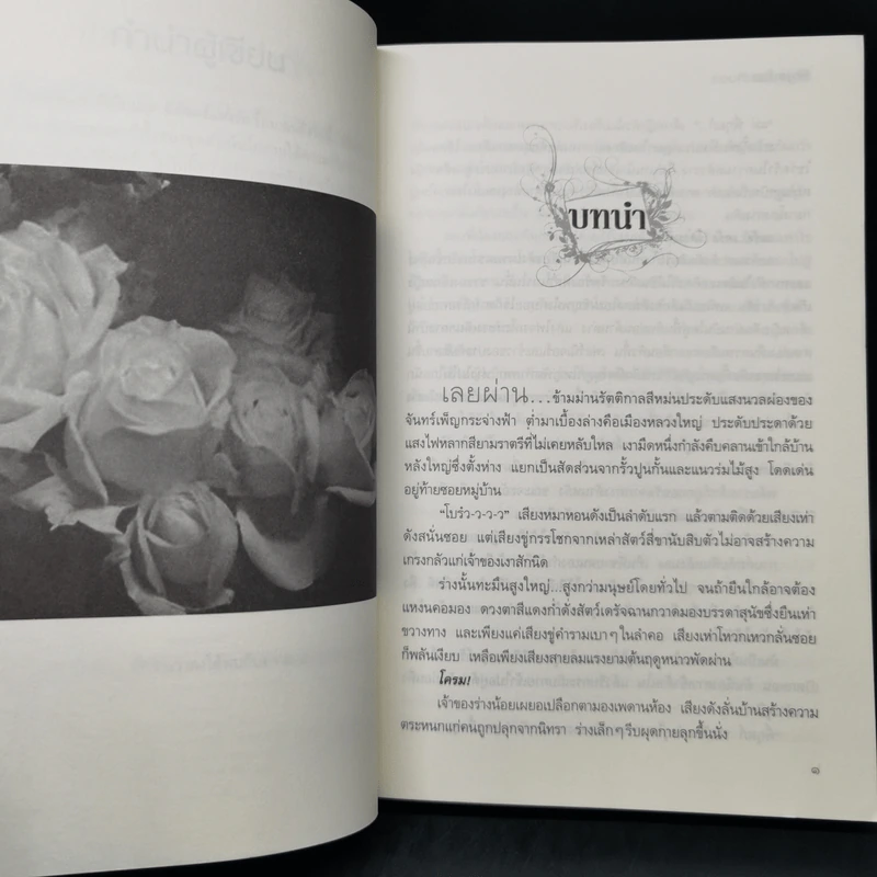 รอยทัณฑ์นางฟ้า - ริญจน์ธร รูปที่ 10