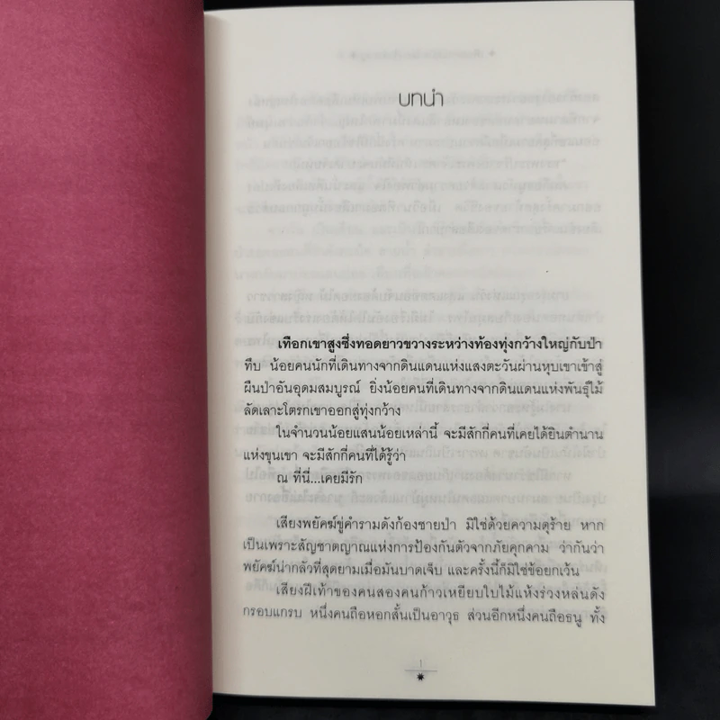 เพียงดาวนฤมิต 2 เล่มจบ - เจ้าสำราญ รูปที่ 9