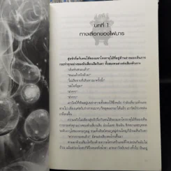 ปัญจมหาโจร 11 เล่มจบ - จางไห่ฟาน รูปที่ 9