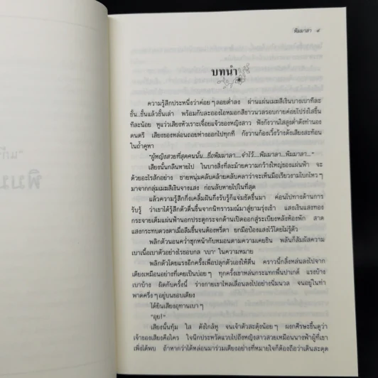พิมมาลา - แก้วเก้า รูปที่ 9