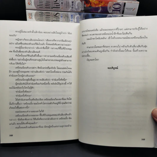 ปัญจมหาโจร 11 เล่มจบ - จางไห่ฟาน รูปที่ 10
