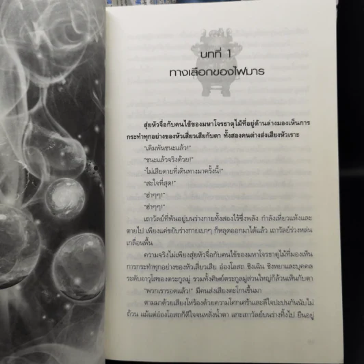 ปัญจมหาโจร 11 เล่มจบ - จางไห่ฟาน รูปที่ 9