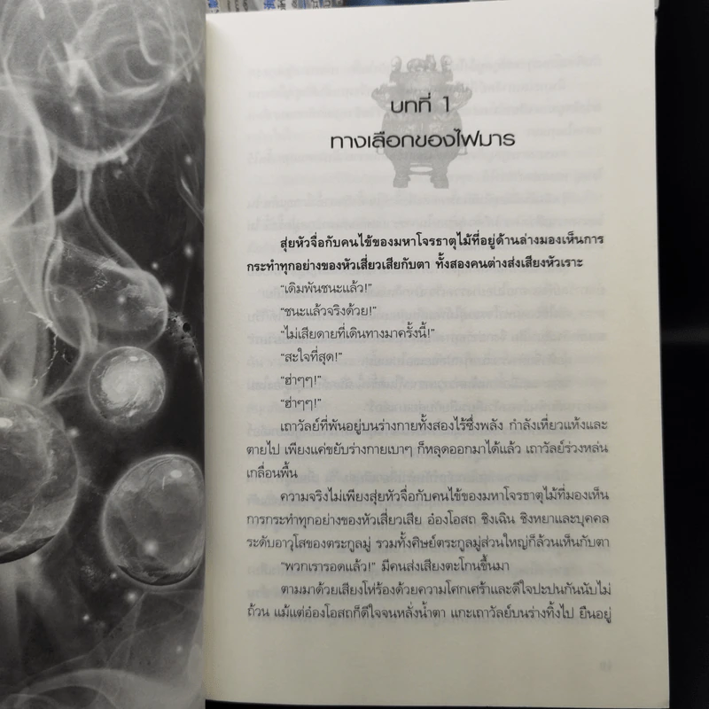 ปัญจมหาโจร 11 เล่มจบ - จางไห่ฟาน รูปที่ 9