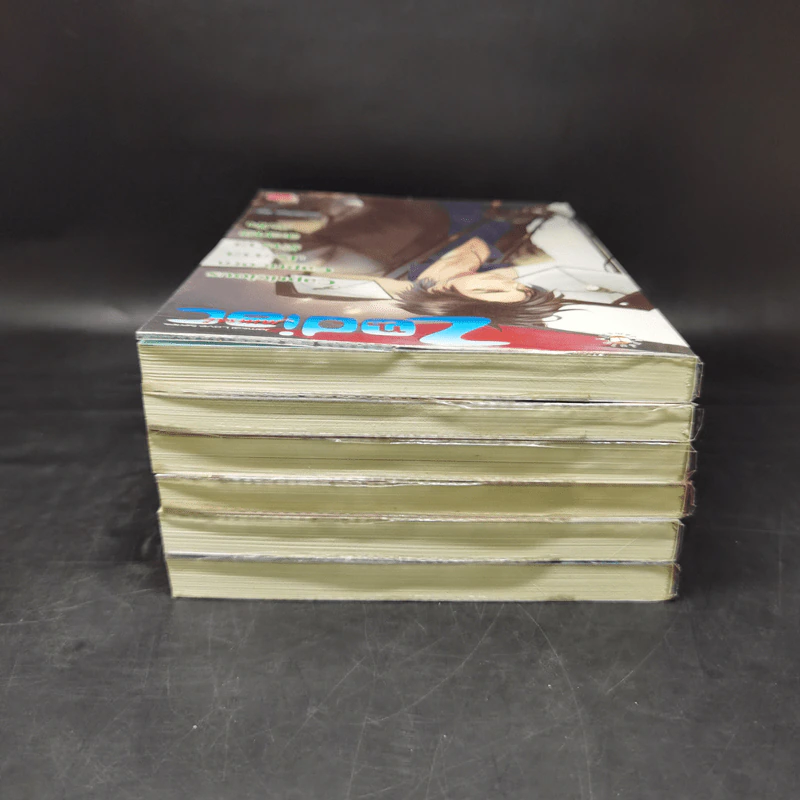 นิยายแจ่มใส Box Set Prince of Zodiac So Hot 6 เล่ม รูปที่ 8