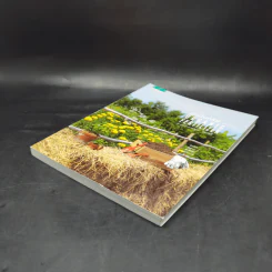 ปุ๋ยอินทรีย์ ORGANIC FERTILIZER - มุกดา สุขสวัสดิ์ รูปที่ 7