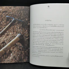 ปุ๋ยอินทรีย์ ORGANIC FERTILIZER - มุกดา สุขสวัสดิ์ รูปที่ 12