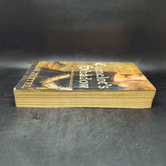 Camelot's Shadow - Sarah Zettel รูปที่ 5
