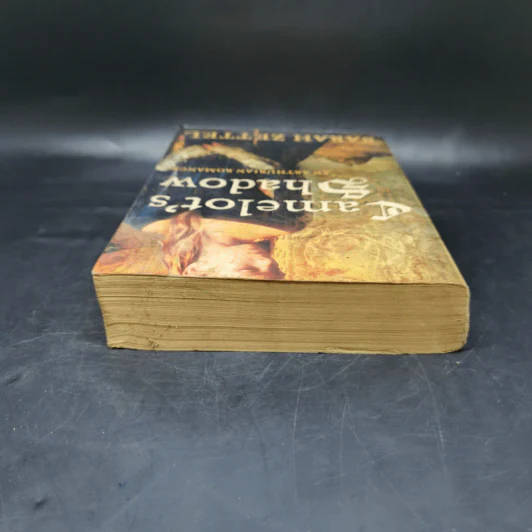 Camelot's Shadow - Sarah Zettel รูปที่ 6