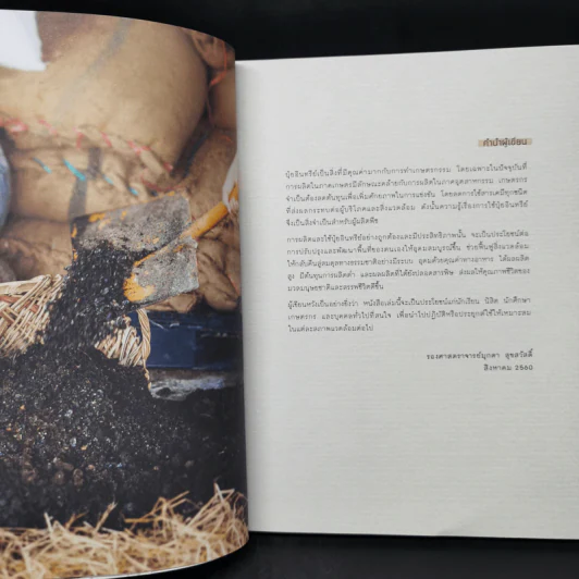 ปุ๋ยอินทรีย์ ORGANIC FERTILIZER - มุกดา สุขสวัสดิ์ รูปที่ 9