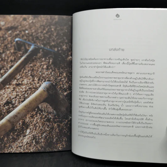 ปุ๋ยอินทรีย์ ORGANIC FERTILIZER - มุกดา สุขสวัสดิ์ รูปที่ 12