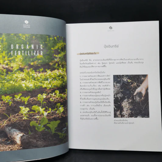 ปุ๋ยอินทรีย์ ORGANIC FERTILIZER - มุกดา สุขสวัสดิ์ รูปที่ 11
