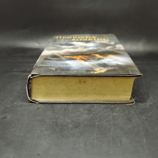 Firebirds Soaring - Nancy Springer, Jane Yolen รูปที่ 4