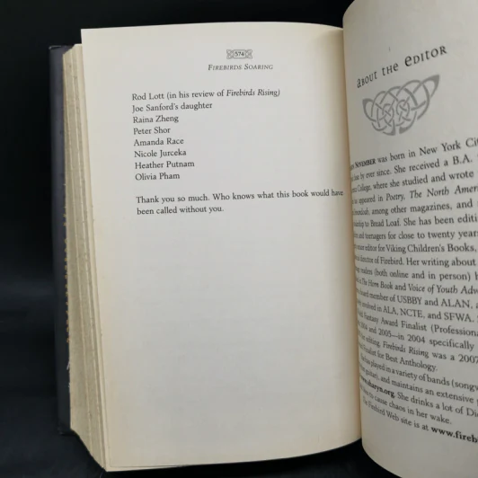 Firebirds Soaring - Nancy Springer, Jane Yolen รูปที่ 10