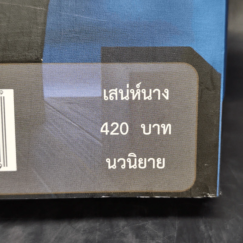 เสน่ห์นาง - อาริตา รูปที่ 11
