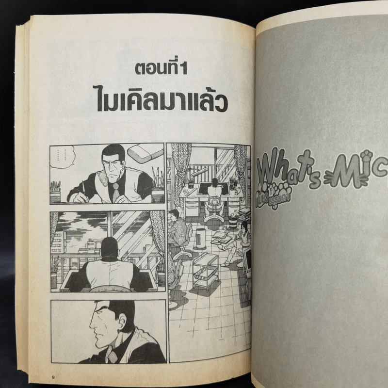 What's Michael? เหมียวไม่ธรรมดา 9 เล่มจบ รูปที่ 11