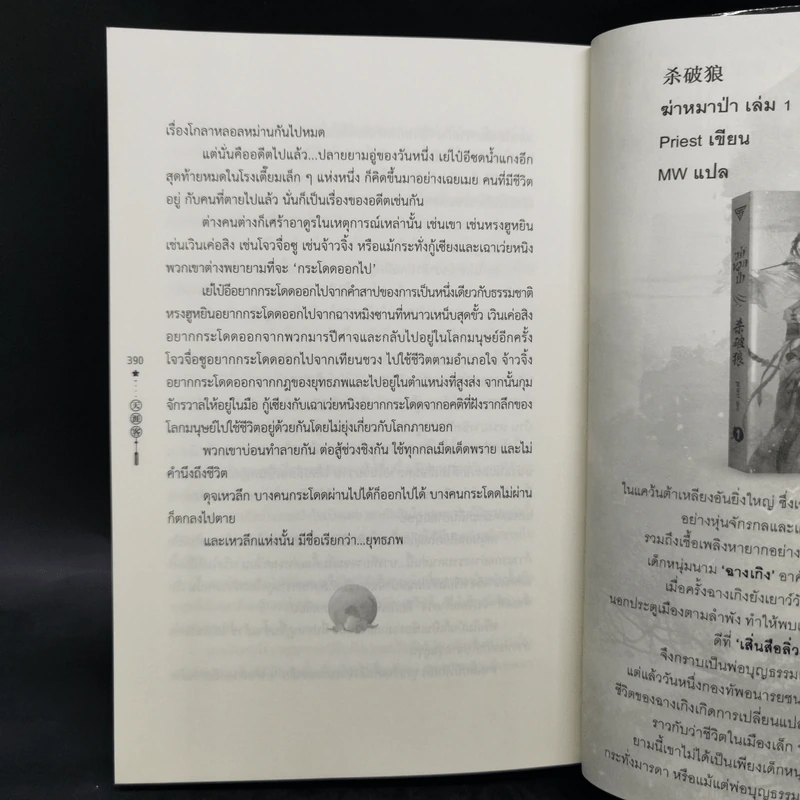 นิยายวาย นักรบพเนจรสุดขอบฟ้า 2 เล่มจบ Boxset - Priest (พีต้า) รูปที่ 14