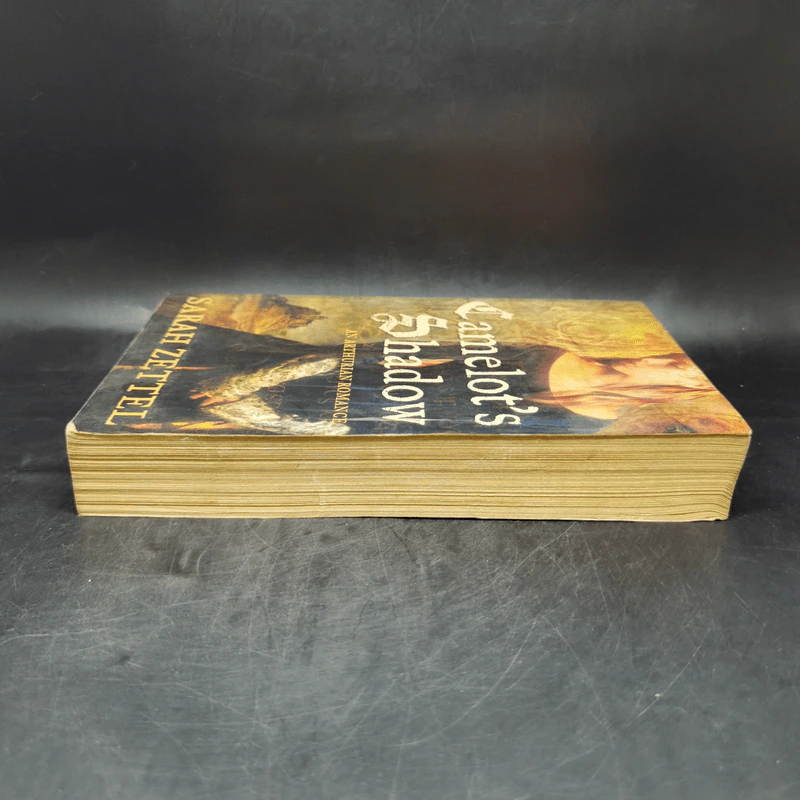 Camelot's Shadow - Sarah Zettel รูปที่ 5