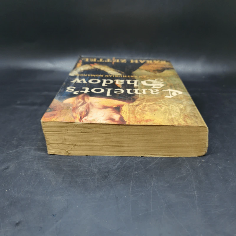 Camelot's Shadow - Sarah Zettel รูปที่ 6