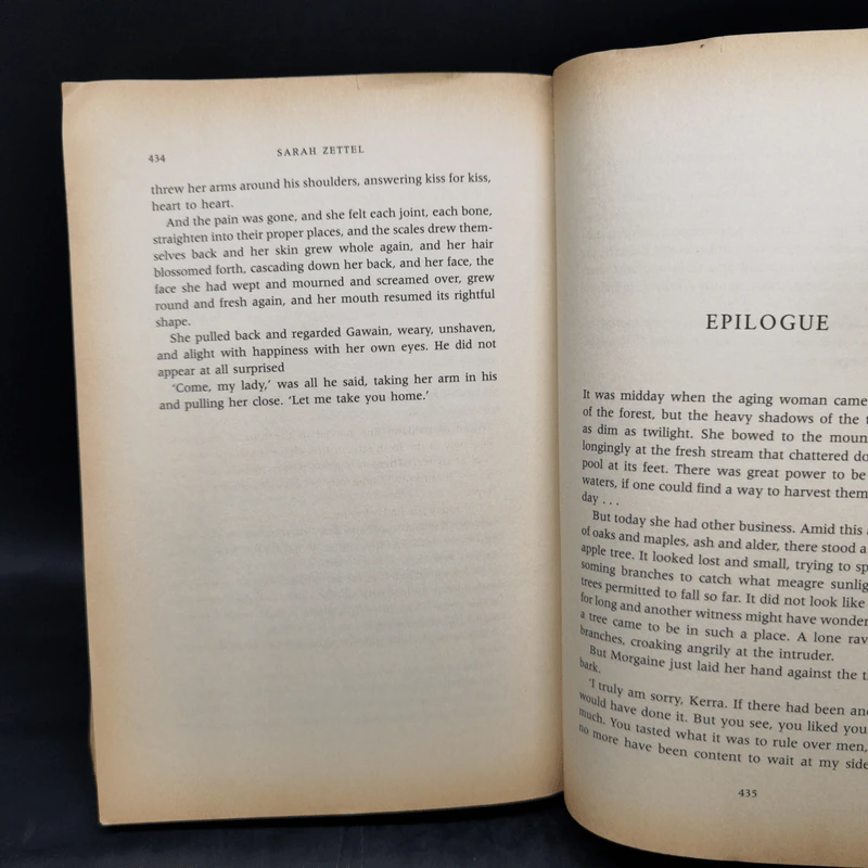 Camelot's Shadow - Sarah Zettel รูปที่ 11