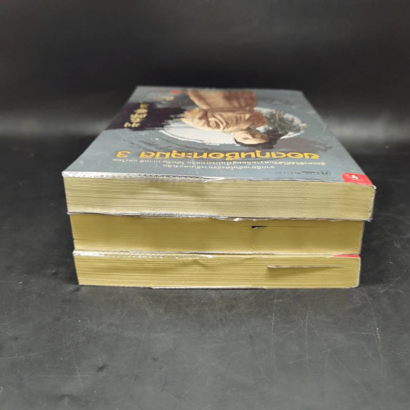 ยอดกุนซือทะลุมิติ เล่ม 1-3 - Muyi (มู่อี้) รูปที่ 5