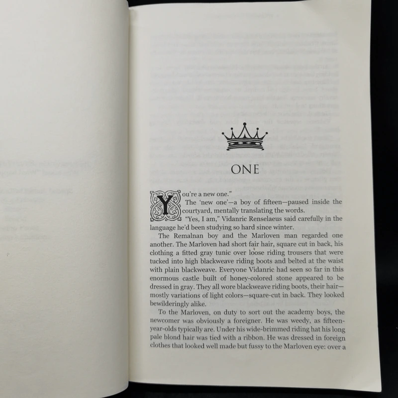 A Stranger to Command - Sherwood Smith รูปที่ 9