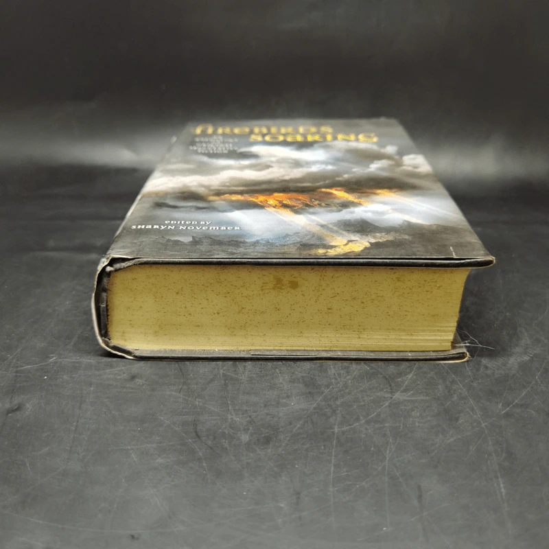 Firebirds Soaring - Nancy Springer, Jane Yolen รูปที่ 4