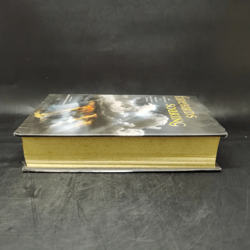 Firebirds Soaring - Nancy Springer, Jane Yolen รูปที่ 5