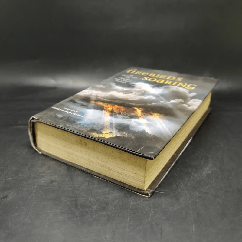 Firebirds Soaring - Nancy Springer, Jane Yolen รูปที่ 7