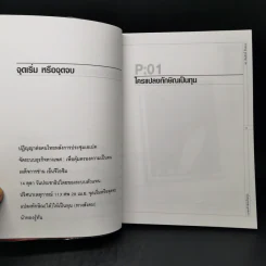 แปลงทักษิณเป็นทุน - ดร.เจิมศักดิ์ ปิ่นทอง รูปที่ 9