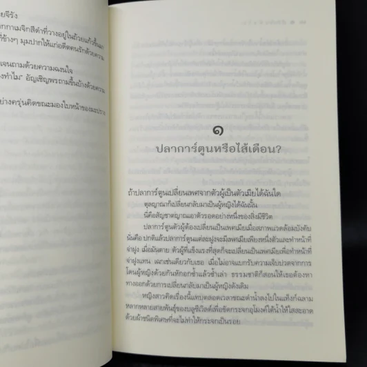 รักกันพัลวัน - เชอริณ (อิสย่าห์) รูปที่ 10