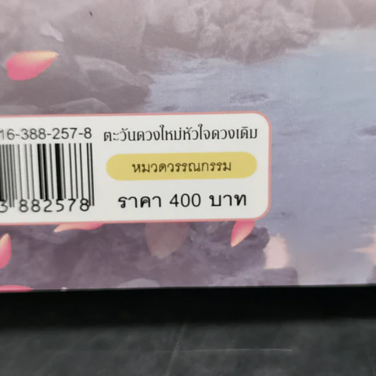 ตะวันดวงใหม่ หัวใจดวงเดิม - อาริตา รูปที่ 11