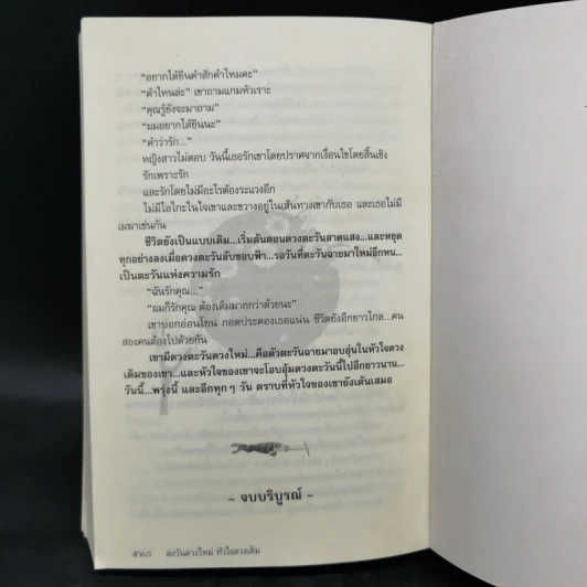 ตะวันดวงใหม่ หัวใจดวงเดิม - อาริตา รูปที่ 10