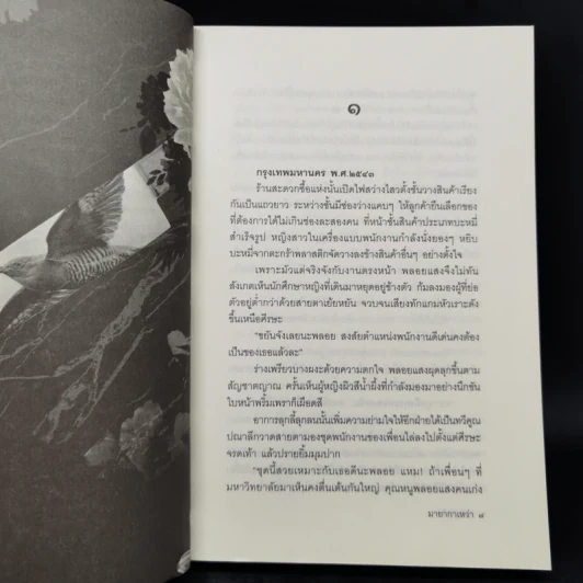 มายากาเหว่า - ณรัญชน์ รูปที่ 9