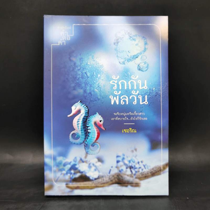 รักกันพัลวัน - เชอริณ (อิสย่าห์) รูปที่ 1