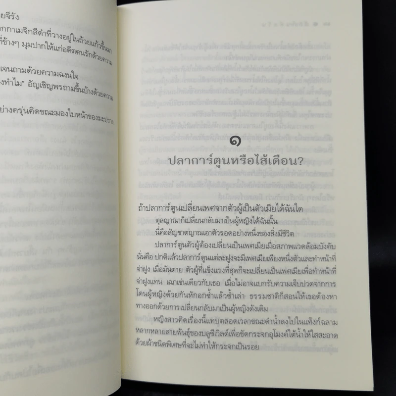 รักกันพัลวัน - เชอริณ (อิสย่าห์) รูปที่ 10