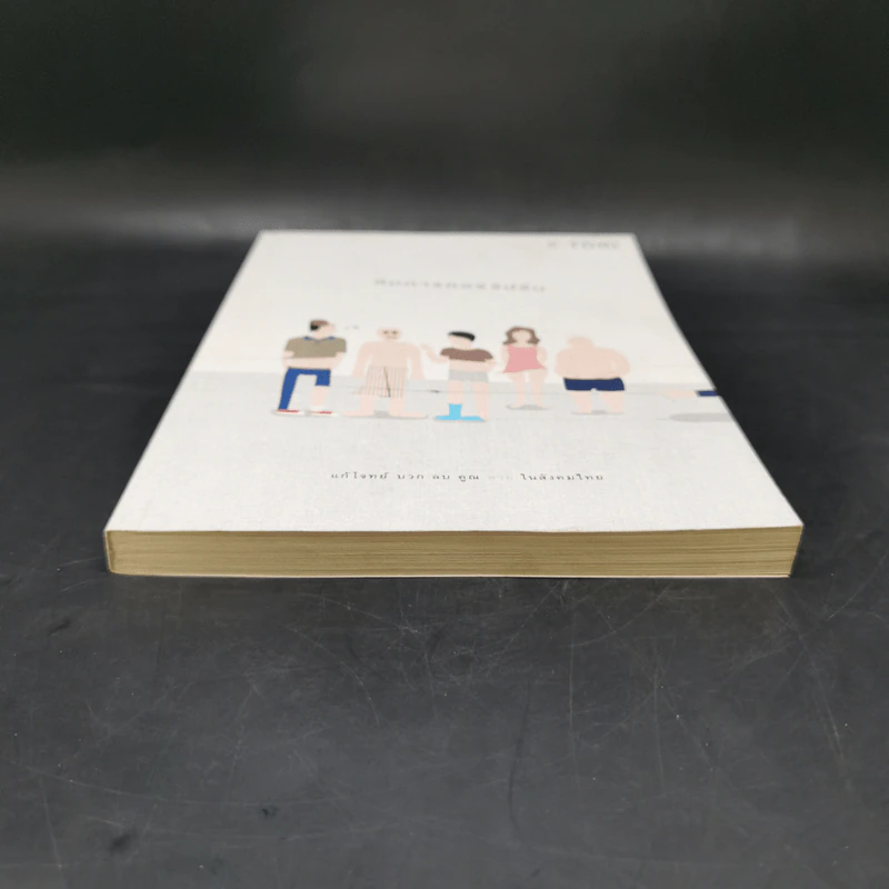 สมการคอร์รัปชัน : แก้โจทย์ บวก ลบ คูณ หาย ในสังคมไทย - บก. พีระพงษ์ เตชะทัตตานนท์ รูปที่ 4
