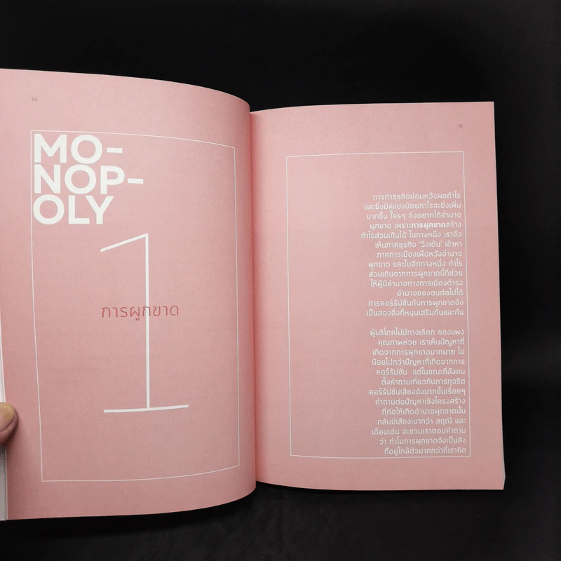 สมการคอร์รัปชัน : แก้โจทย์ บวก ลบ คูณ หาย ในสังคมไทย - บก. พีระพงษ์ เตชะทัตตานนท์ รูปที่ 11